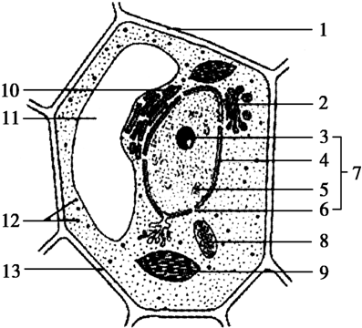 实验室 Fig.01